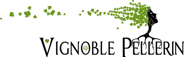 Vignoble Pellerin